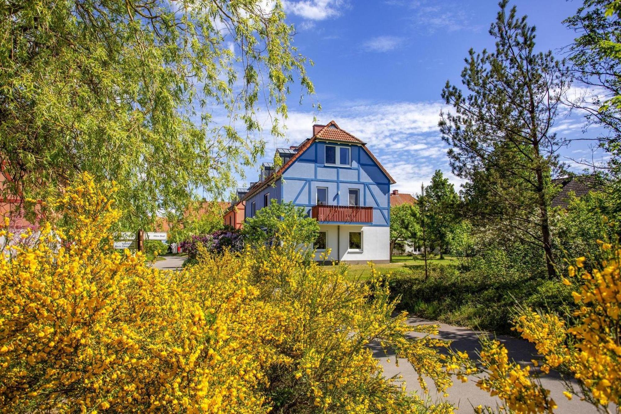 Holiday Complex Beech Resort Fleesensee G Hren Lebbin Гёрен-Леббин Экстерьер фото